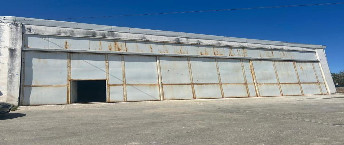 Foto de local en renta en  , enrique cárdenas gonzalez, tampico, tamaulipas, 0 No. 01