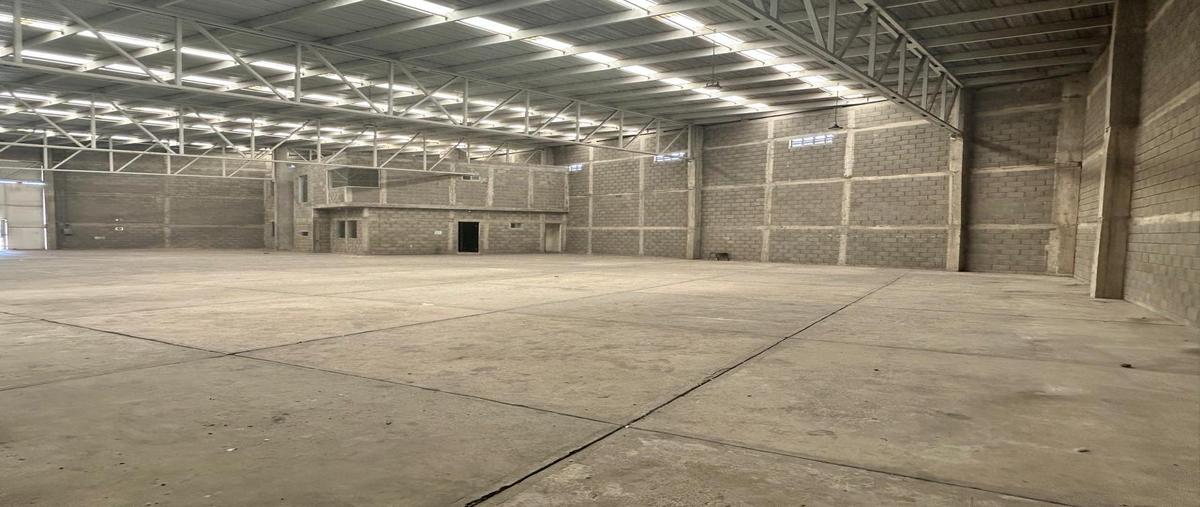 Foto de local en renta en  , enrique cárdenas gonzalez, tampico, tamaulipas, 0 No. 05