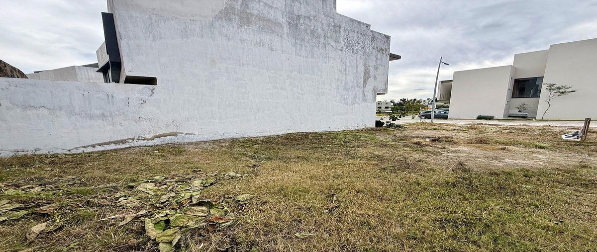 Foto de terreno habitacional en venta en enrique limón díaz , san agustin, tlajomulco de zúñiga, jalisco, 30786701 No. 05