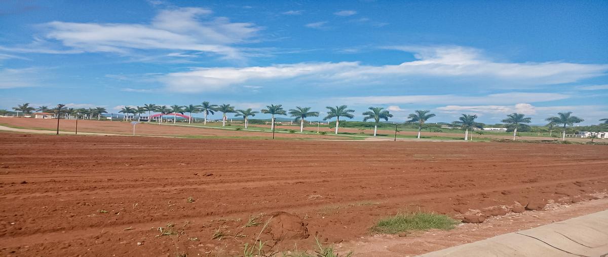 Foto de terreno habitacional en venta en enrramada y tulipán , el venadillo, mazatlán, sinaloa, 28851506 No. 03
