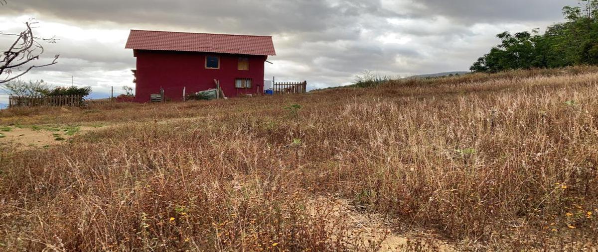 Foto de terreno habitacional en venta en entre calle almendros y arandanos , san andres huayapam, san andrés huayápam, oaxaca, 19236893 No. 03