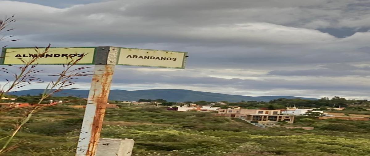 Foto de terreno habitacional en venta en entre calle almendros y arandanos , san andres huayapam, san andrés huayápam, oaxaca, 19236893 No. 05