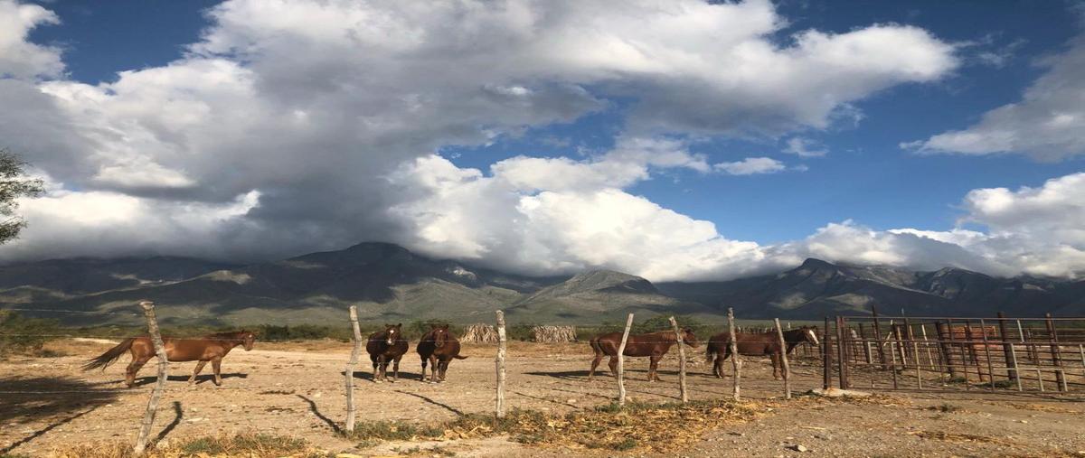 Foto de rancho en entre mina y bustamante , mina, mina, nuevo león, 27623575 foto 05 Foto de rancho en venta en entre mina y bustamante , mina, mina, nuevo león, 27623575 No. 05