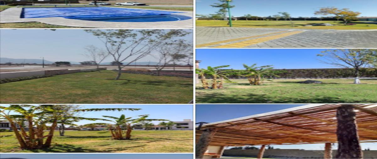 Foto de terreno habitacional en venta en entrealamedas , san agustín huixaxtla, atlixco, puebla, 24927945 No. 03