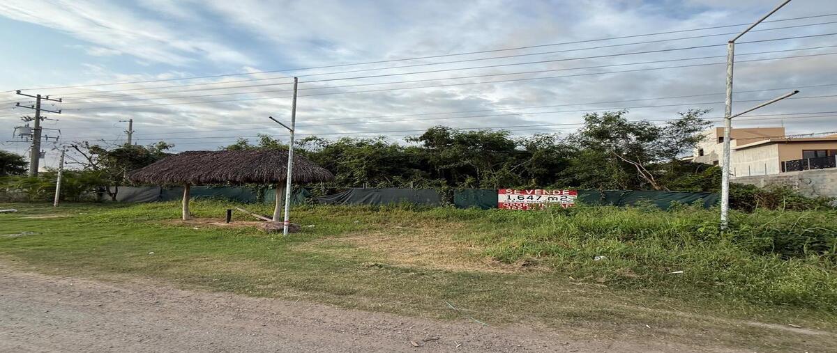 Foto de terreno habitacional en venta en entronque carretero punta mita-sayulita , higuera blanca, bahía de banderas, nayarit, 0 No. 01