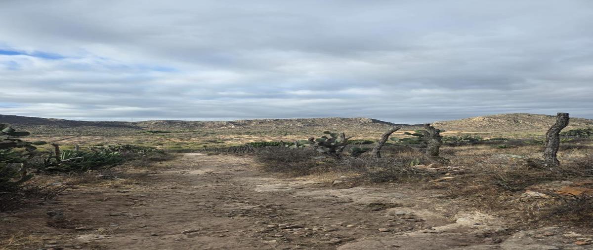 Foto de terreno habitacional en venta en  , entronque de zaragoza, zaragoza, san luis potosí, 0 No. 05