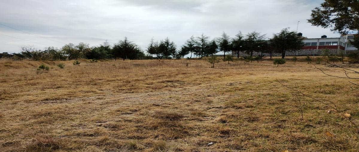 Foto de terreno habitacional en venta en  , entronque nanacamilpa, nanacamilpa de mariano arista, tlaxcala, 27509997 No. 03