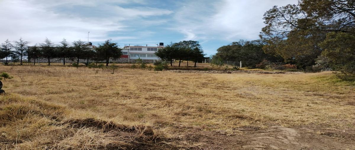 Foto de terreno habitacional en venta en  , entronque nanacamilpa, nanacamilpa de mariano arista, tlaxcala, 27509997 No. 04