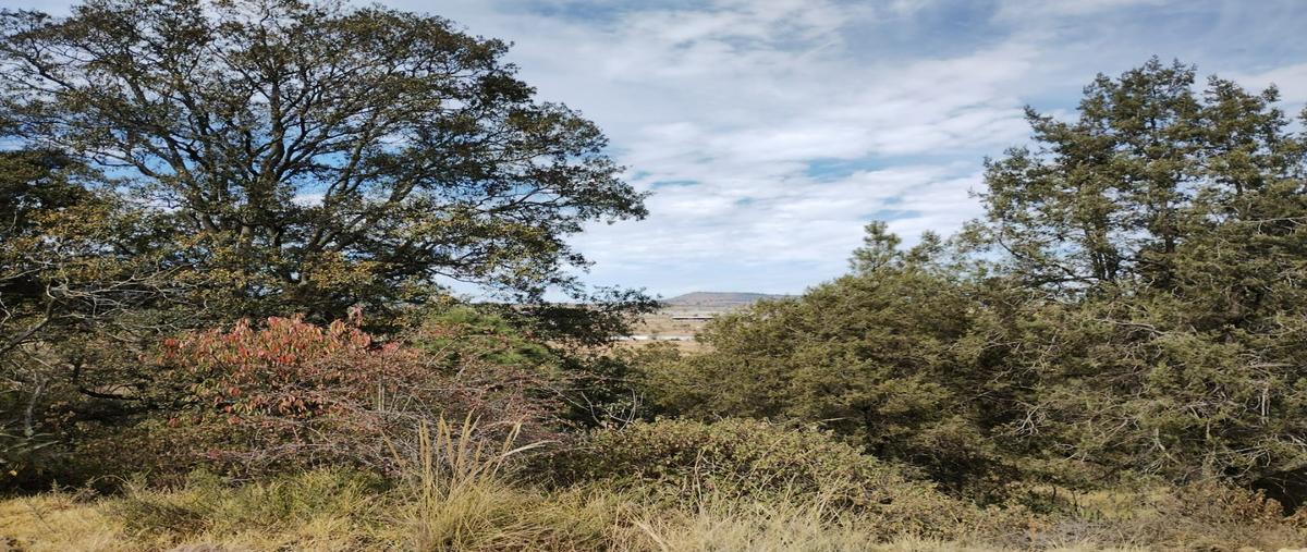 Foto de terreno habitacional en venta en  , entronque nanacamilpa, nanacamilpa de mariano arista, tlaxcala, 27509997 No. 05