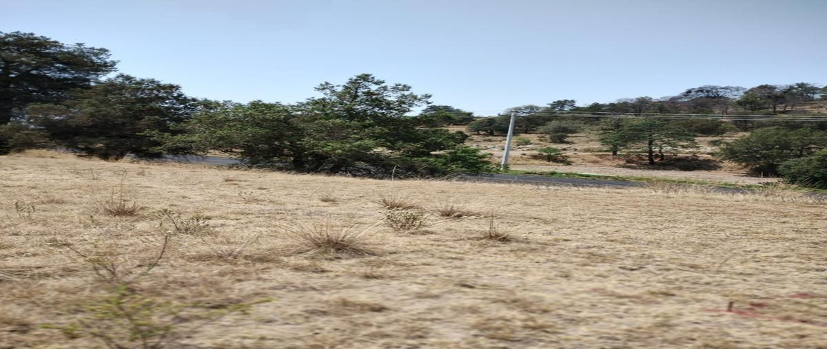 Foto de terreno habitacional en , entronque nanacamilpa, nanacamilpa de mariano arista, tlaxcala, 28011938 foto 05 Foto de terreno habitacional en venta en , entronque nanacamilpa, nanacamilpa de mariano arista, tlaxcala, 28011938 No. 05