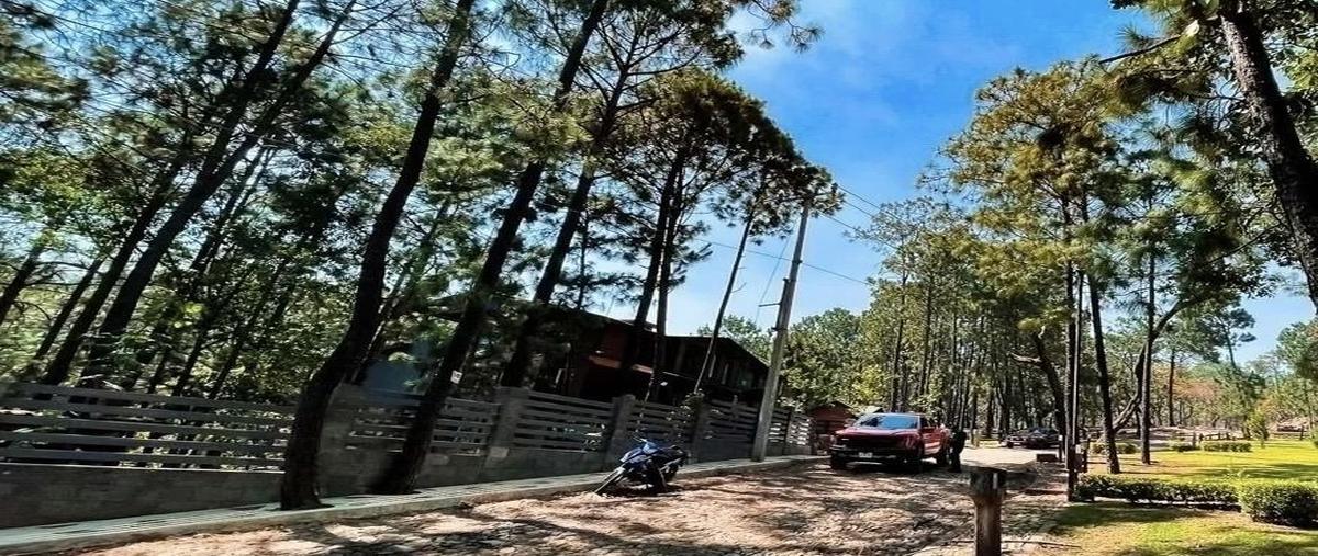 Foto de casa en venta en  , epenche grande (penche grande), mazamitla, jalisco, 0 No. 05