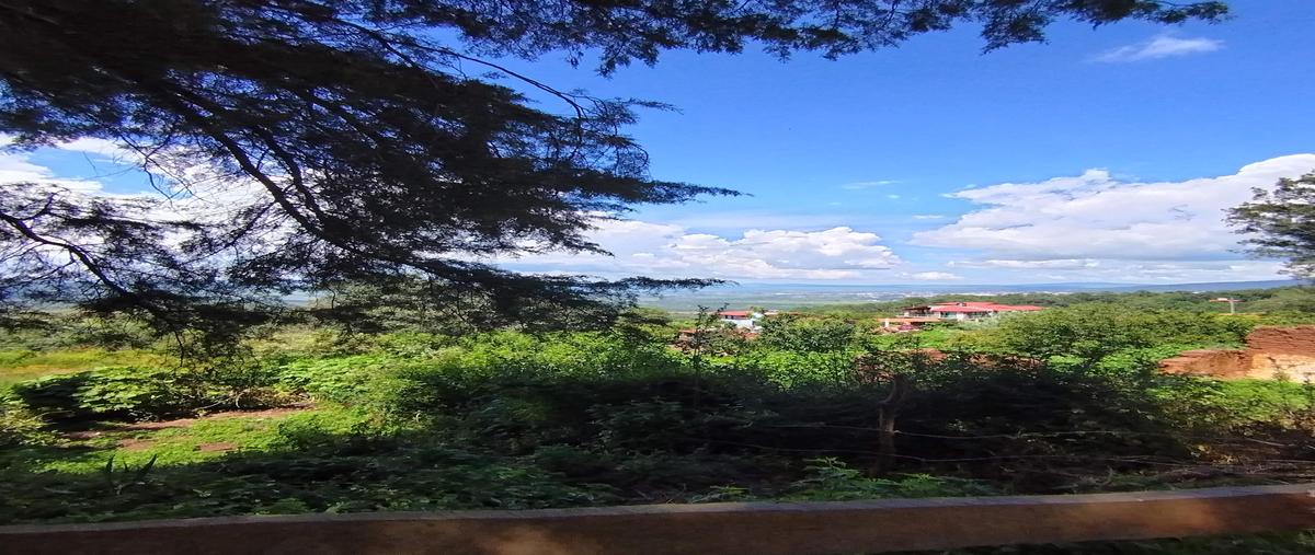 Foto de terreno habitacional en , epenche grande (penche grande), mazamitla, jalisco, 30313590 foto 04 Foto de terreno habitacional en venta en , epenche grande (penche grande), mazamitla, jalisco, 30313590 No. 04