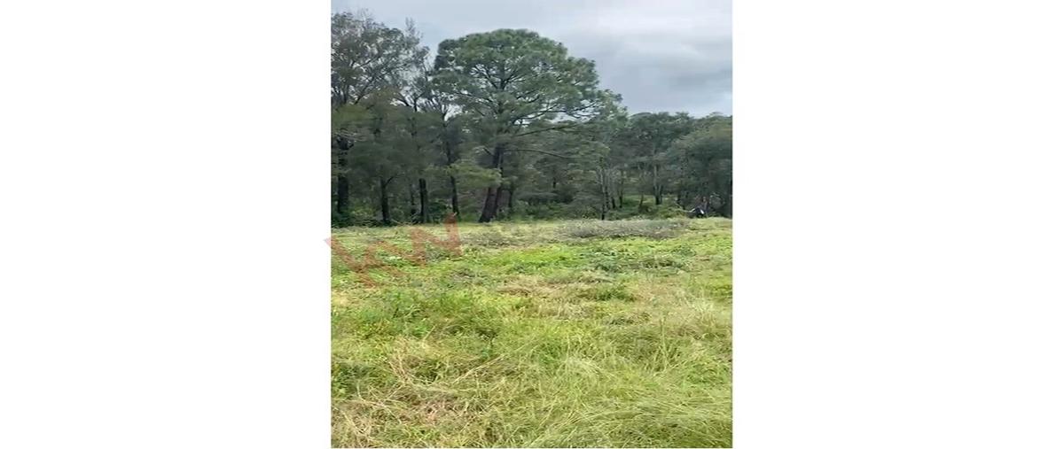 Foto de terreno habitacional en venta en  , epenche grande (penche grande), mazamitla, jalisco, 30356905 No. 01