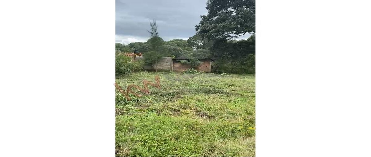 Foto de terreno habitacional en venta en  , epenche grande (penche grande), mazamitla, jalisco, 30356905 No. 02