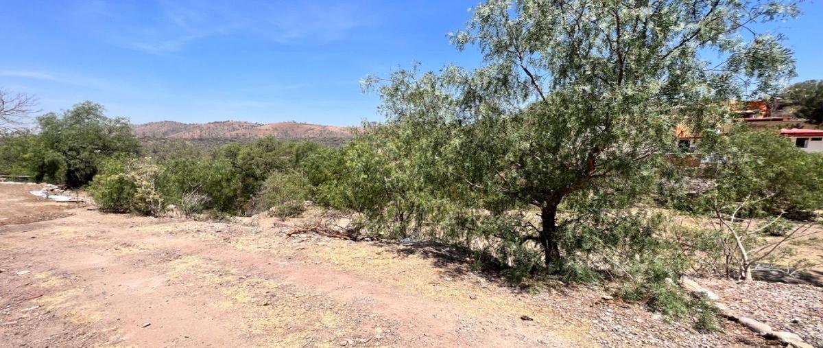 Foto de terreno habitacional en erizo , filtros de valenciana, guanajuato, guanajuato, 28017766 foto 04 Foto de terreno habitacional en venta en erizo , filtros de valenciana, guanajuato, guanajuato, 28017766 No. 04