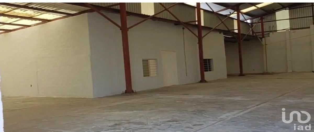 Foto de bodega en renta en ernesto lopez 98, el zapote del valle, tlajomulco de zÃºÃ±iga, jalisco, 31519458 No. 05