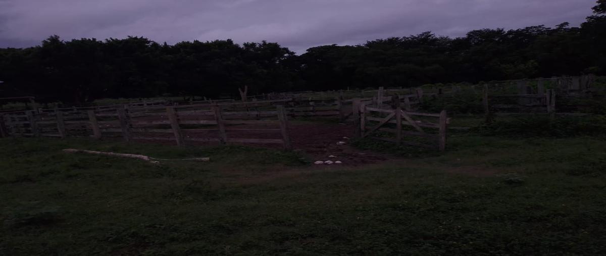 Foto de rancho en venta en  , escárcega centro, escárcega, campeche, 22193026 No. 04