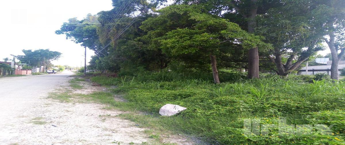 Foto de terreno habitacional en venta en  , escárcega centro, escárcega, campeche, 25102148 No. 05