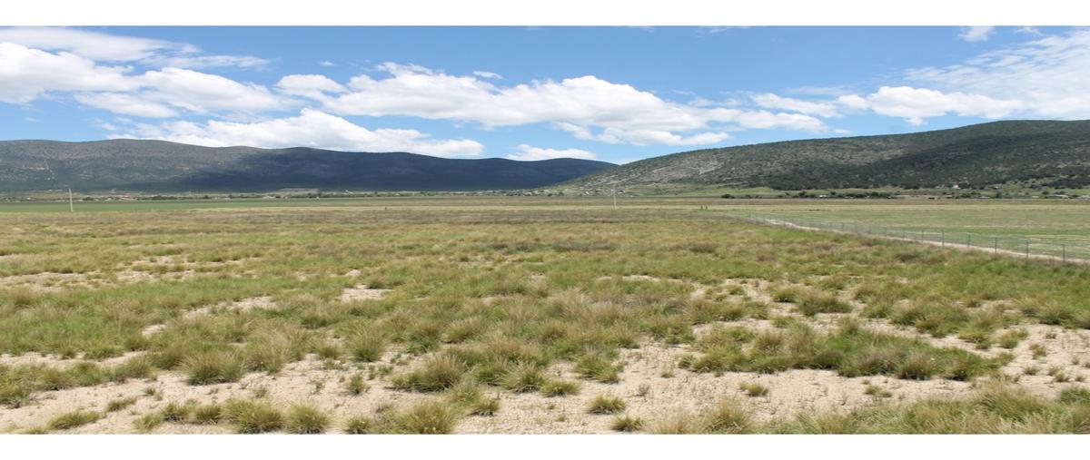 Foto de terreno habitacional en , escobedo, arteaga, coahuila de zaragoza, 28514581 foto 03 Foto de terreno habitacional en venta en , escobedo, arteaga, coahuila de zaragoza, 28514581 No. 03