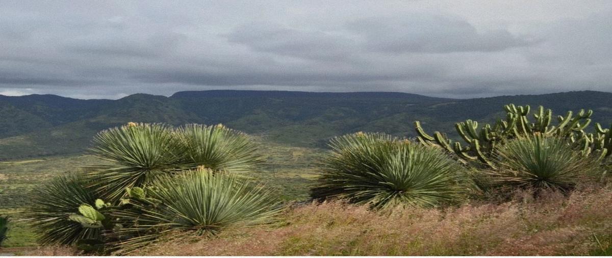 Foto de rancho en venta en . , escolástica, pedro escobedo, querétaro, 27747150 No. 03