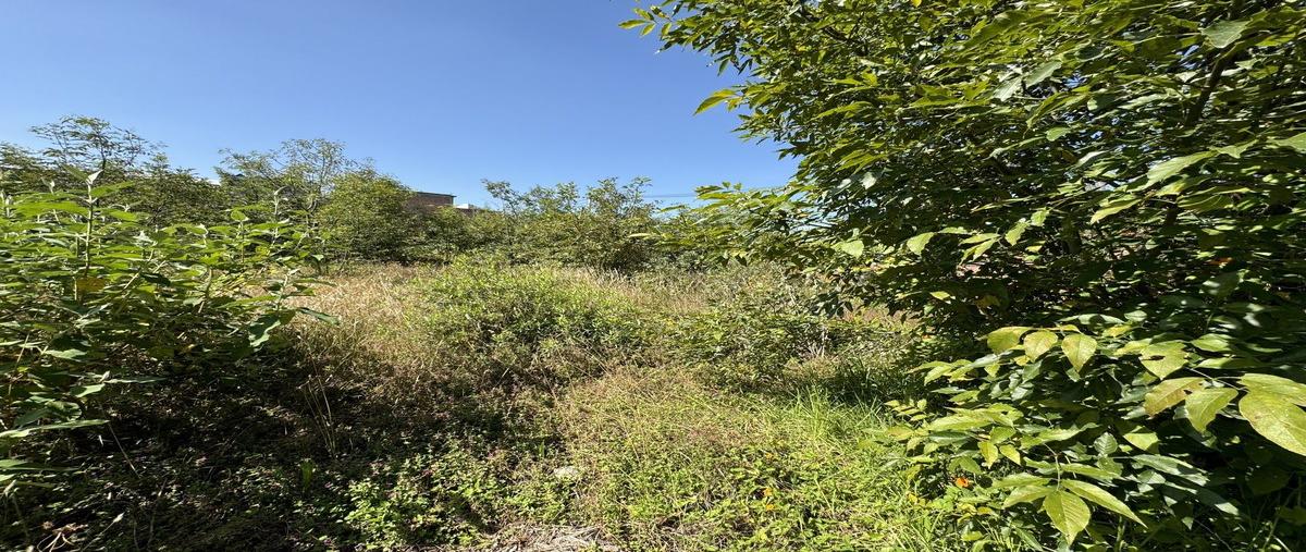 Foto de terreno industrial en venta en escondida , la peñita del pueblo tetelpan, álvaro obregón, df / cdmx, 29135515 No. 06