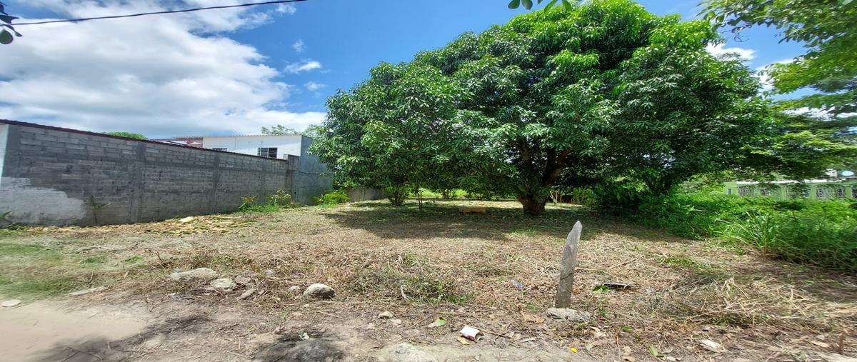 Foto de terreno habitacional en venta en  , escribano, paraíso, tabasco, 27776053 No. 03