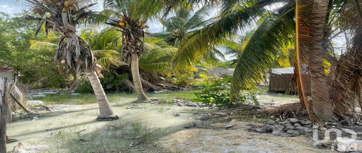 Foto de terreno habitacional en venta en esmedregal 108, isla de holbox, lázaro cárdenas, quintana roo, 28723597 No. 04