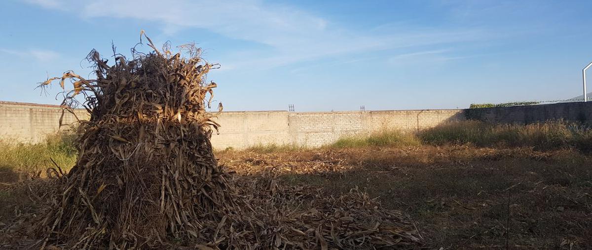 Foto de terreno comercial en venta en esmeralda 83, la joyita, zapopan, jalisco, 24873728 No. 05