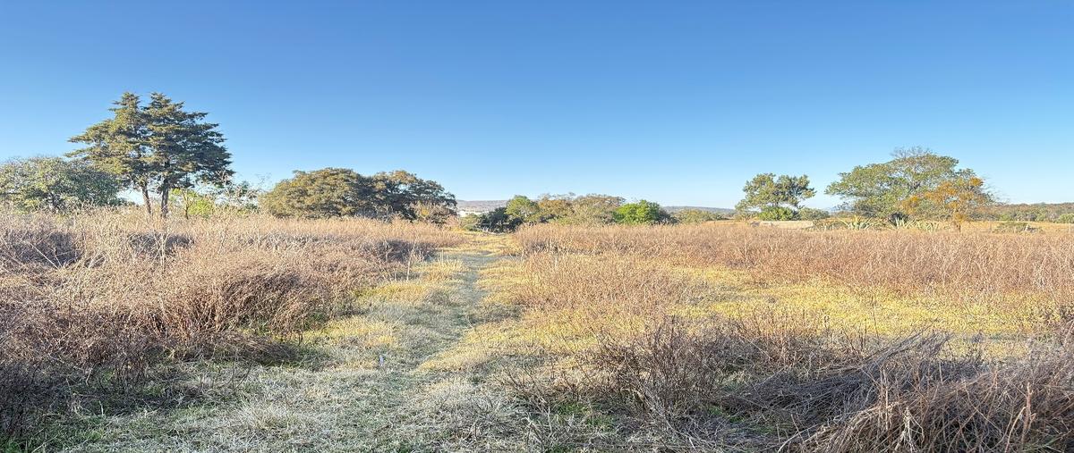 Foto de terreno habitacional en venta en  , españita, españita, tlaxcala, 30878910 No. 03