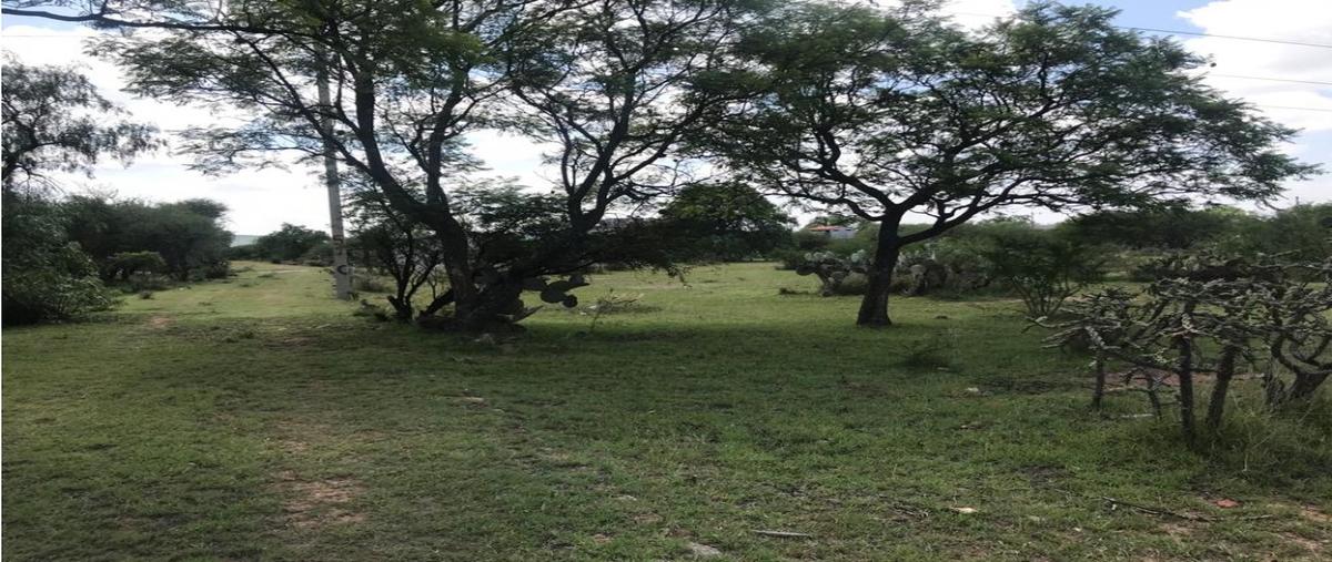 Foto de terreno habitacional en venta en  , esperanza, colón, querétaro, 27895655 No. 03