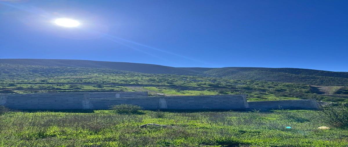 Foto de terreno habitacional en venta en  , esperanza, ensenada, baja california, 28651732 No. 05