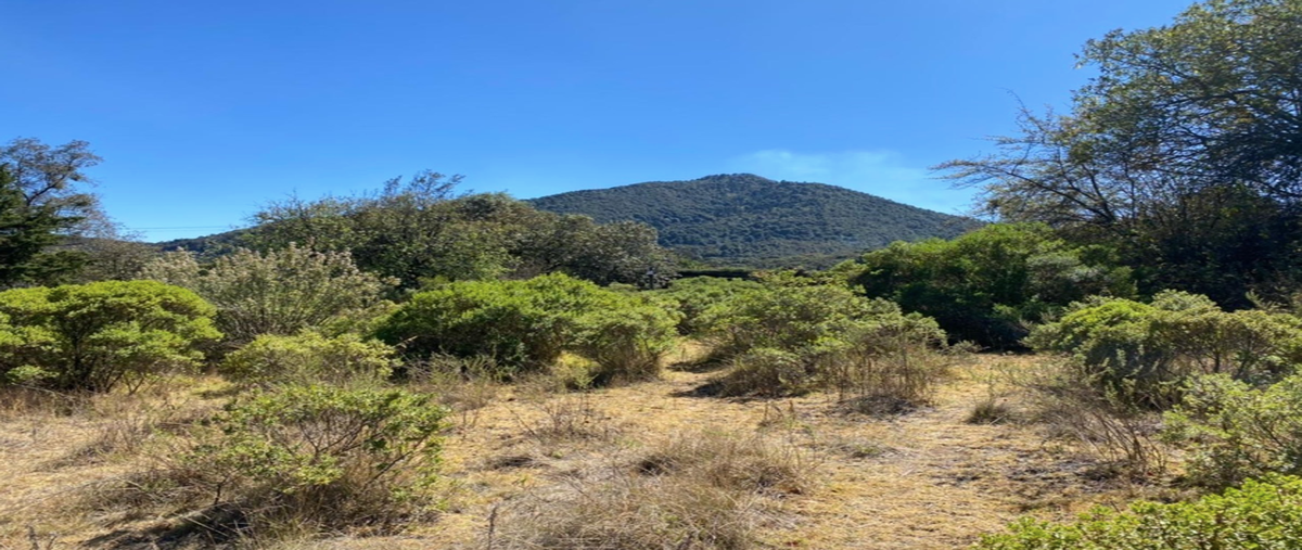 Foto de terreno habitacional en , espíritu santo, jilotzingo, méxico, 20247954 foto 01 Foto de terreno habitacional en venta en , espíritu santo, jilotzingo, méxico, 20247954 No. 01