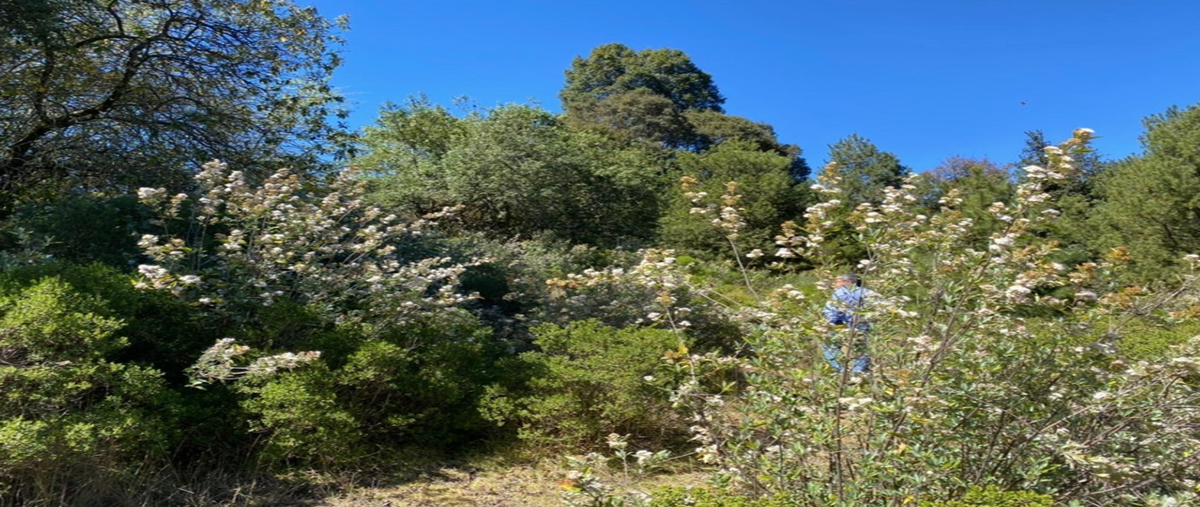 Foto de terreno habitacional en , espíritu santo, jilotzingo, méxico, 20247954 foto 05 Foto de terreno habitacional en venta en , espíritu santo, jilotzingo, méxico, 20247954 No. 05