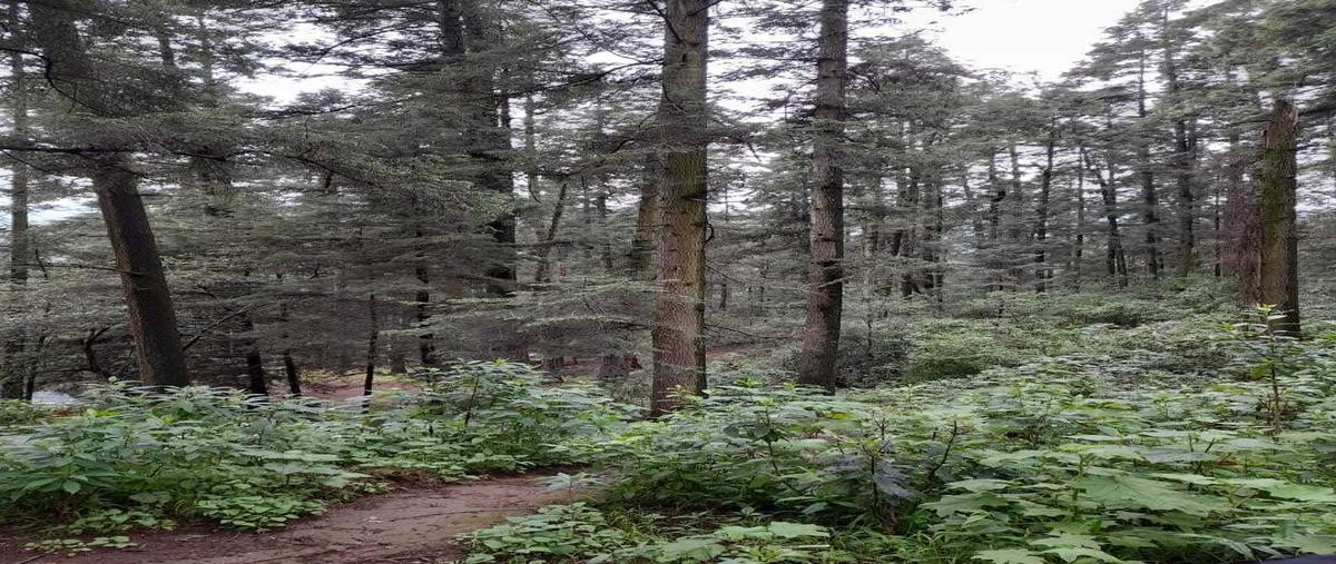 Foto de terreno habitacional en venta en  , espíritu santo, jilotzingo, méxico, 28109863 No. 03