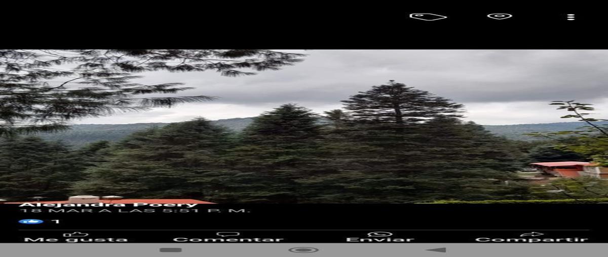 Foto de terreno habitacional en venta en  , espíritu santo, jilotzingo, méxico, 28109863 No. 05