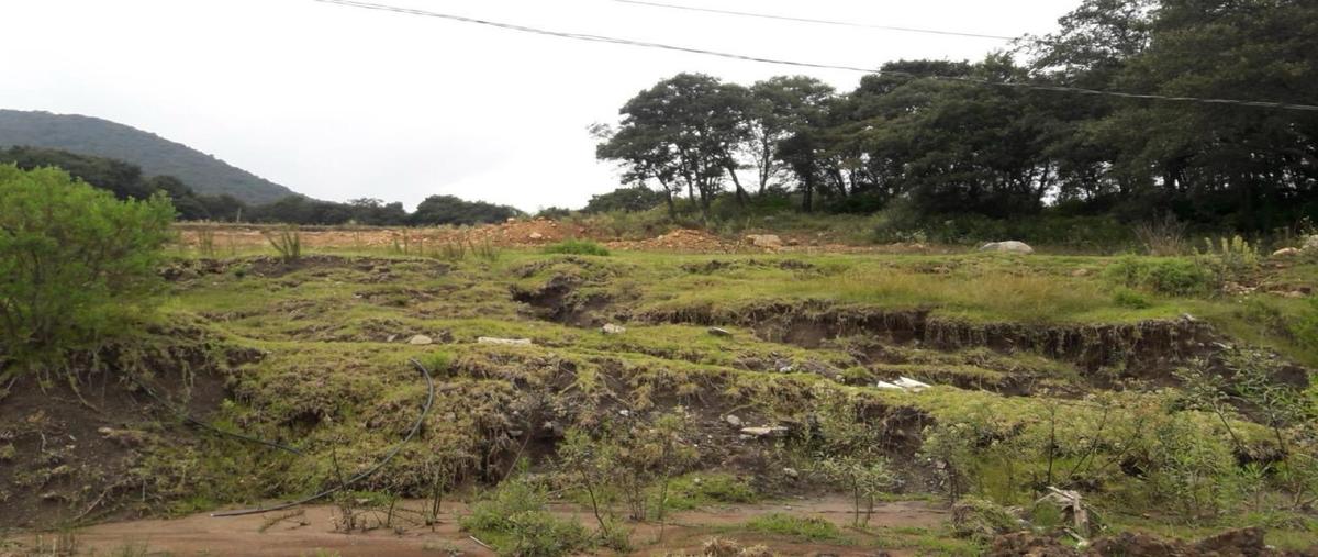 Foto de terreno habitacional en venta en  , espíritu santo, jilotzingo, méxico, 0 No. 03