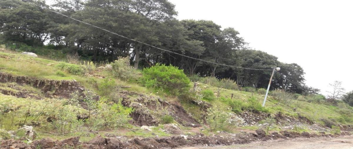 Foto de terreno habitacional en venta en  , espíritu santo, jilotzingo, méxico, 0 No. 04
