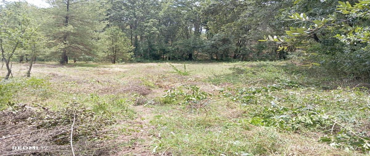 Foto de terreno habitacional en venta en  , espíritu santo, jilotzingo, méxico, 0 No. 04