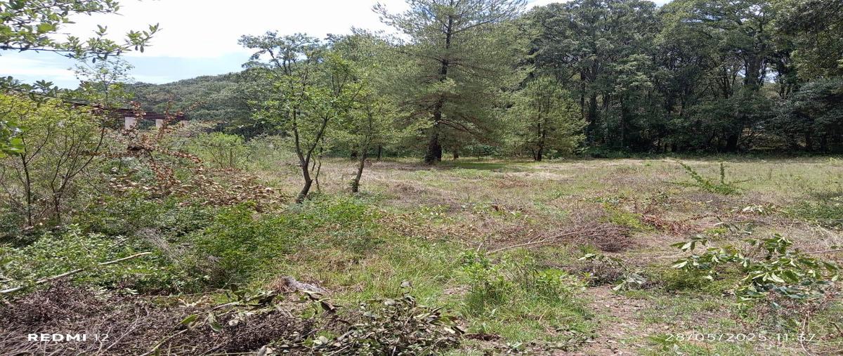 Foto de terreno habitacional en venta en  , espíritu santo, jilotzingo, méxico, 0 No. 05