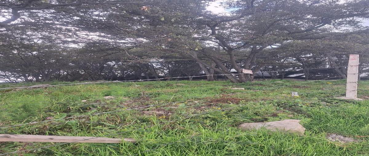 Foto de terreno habitacional en venta en  , espíritu santo, jilotzingo, méxico, 0 No. 05