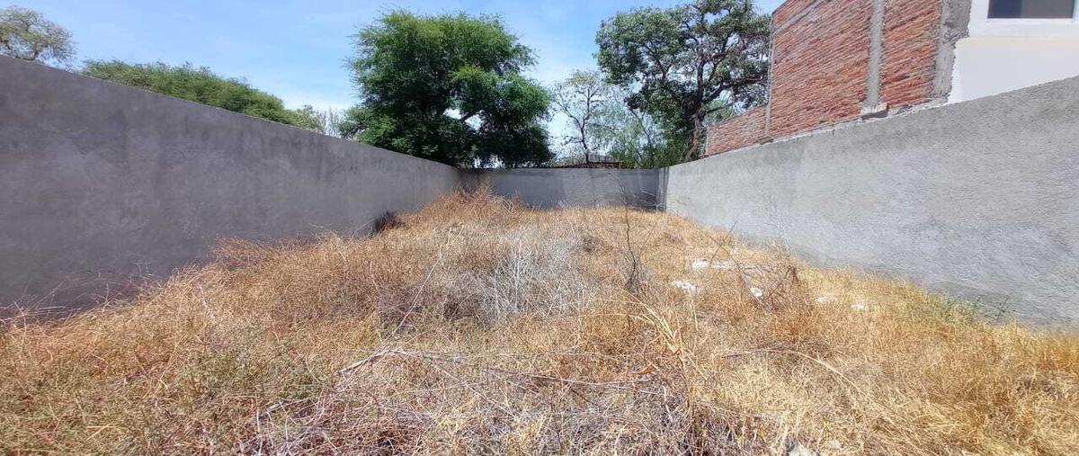 Foto de terreno habitacional en venta en  , espíritu santo, san juan del río, querétaro, 26346595 No. 04
