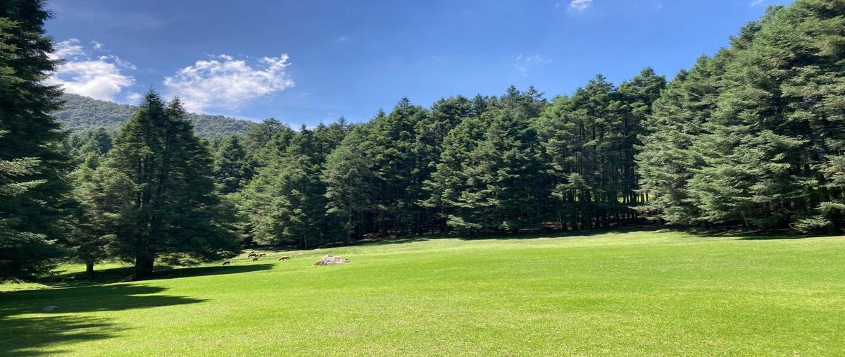 Foto de terreno habitacional en venta en espíritu santo , santa ana jilotzingo, jilotzingo, méxico, 27736497 No. 03