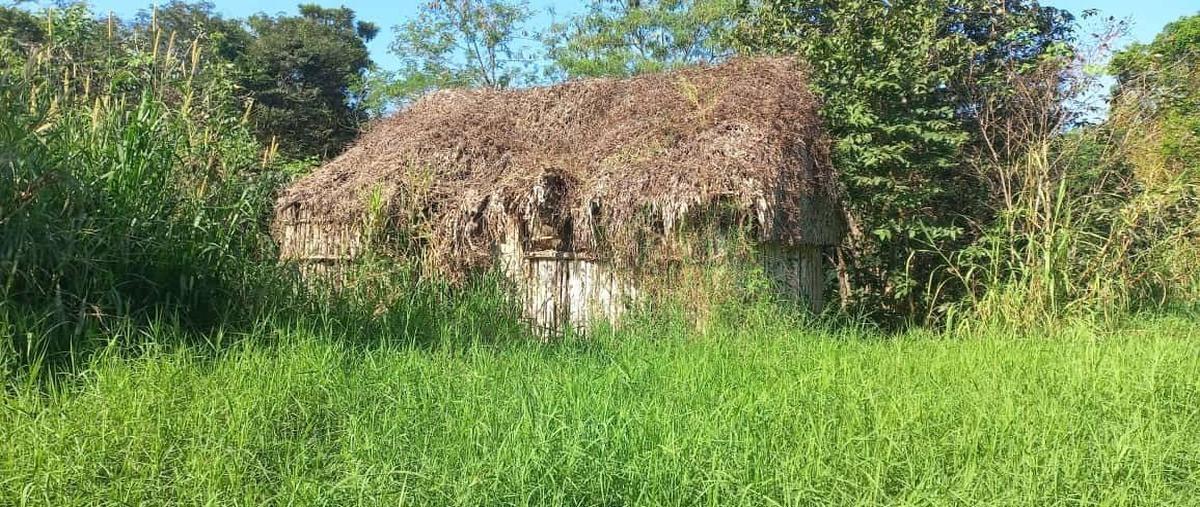 Foto de terreno habitacional en venta en  , espita, espita, yucatán, 0 No. 03