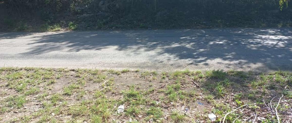 Foto de terreno habitacional en venta en  , espita, espita, yucatán, 0 No. 05