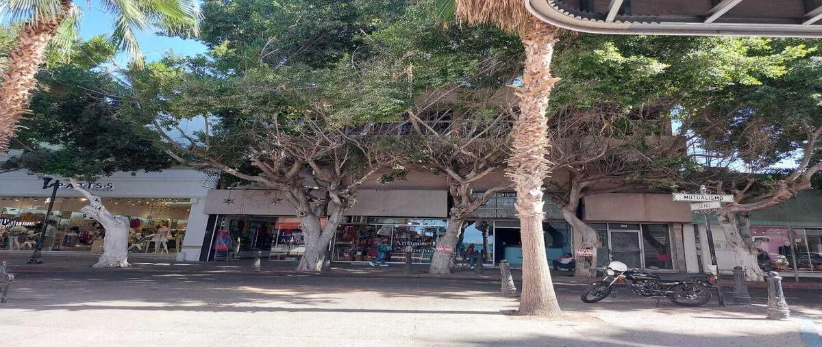 Foto de edificio en esquerro , centro, la paz, baja california sur, 29097777 foto 02 Foto de edificio en venta en esquerro , centro, la paz, baja california sur, 29097777 No. 02
