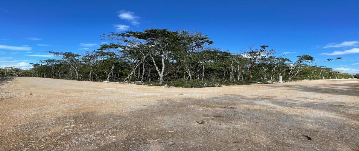 Foto de terreno habitacional en venta en esquina avenida zapote , tulum centro, tulum, quintana roo, 29955938 No. 03
