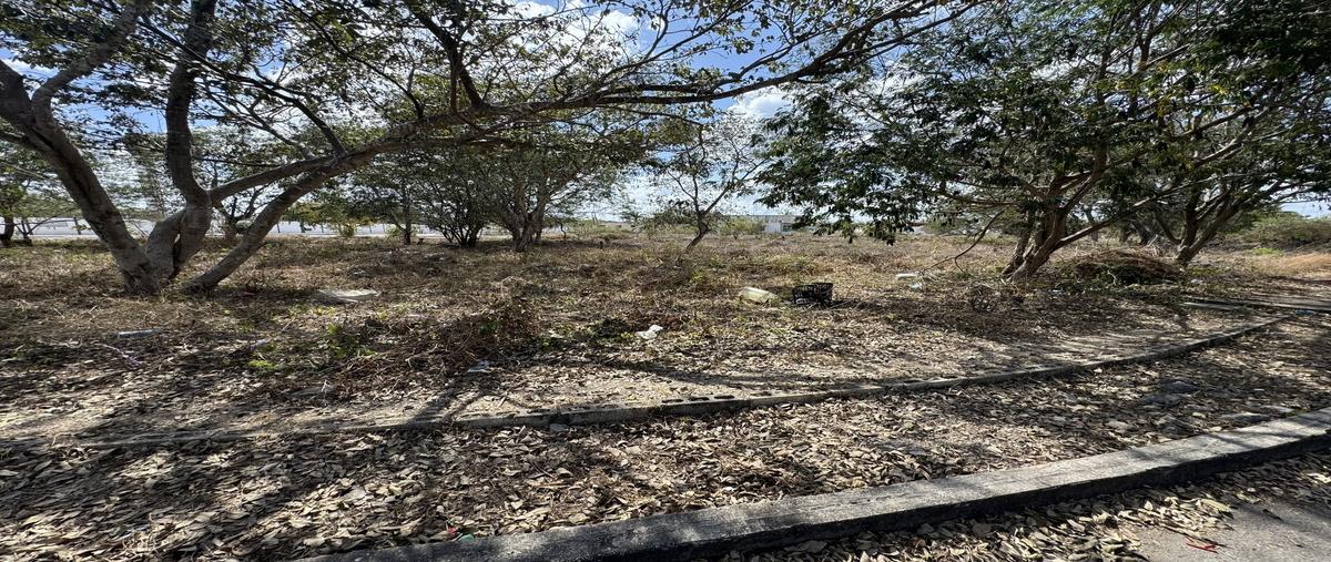 Foto de terreno comercial en venta en esquina , caucel, mérida, yucatán, 0 No. 04
