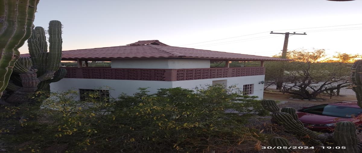 Foto de departamento en renta en esquina harol foster calle cuatro norte, el campanario, la paz, baja california sur, 28208879 No. 04