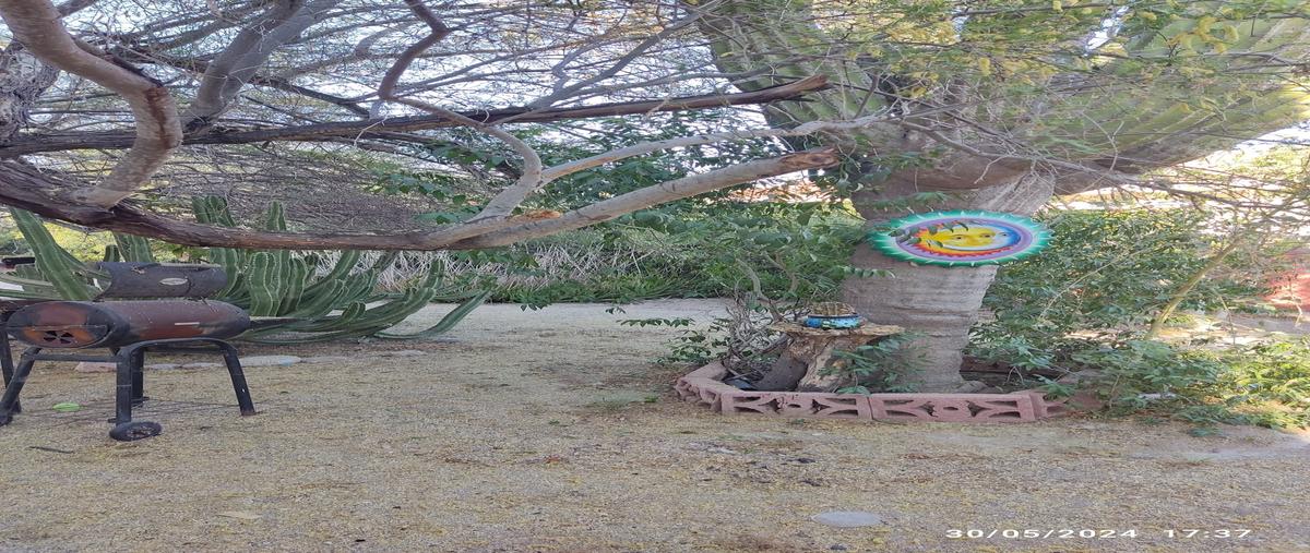 Foto de departamento en renta en esquina harol foster calle cuatro norte, el campanario, la paz, baja california sur, 28208879 No. 05