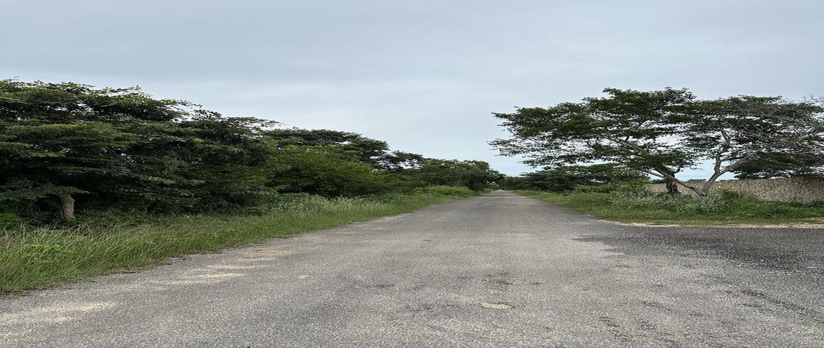 Foto de terreno habitacional en venta en esquinayaxkukul , yaxkukul, yaxkukul, yucatán, 0 No. 08